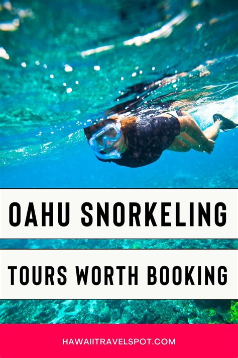 Which Oahu Snorkeling Tours are Worth Booking? (2023) - Hawaii Travel Spot