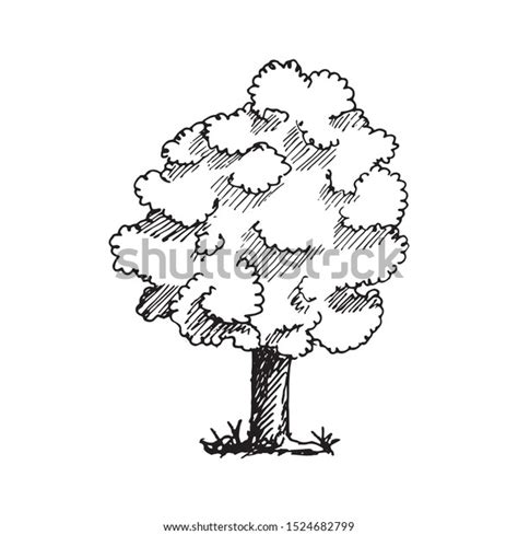 Hand Drawn Tree Doodle Sketch Style Stock Vector (Royalty Free ...