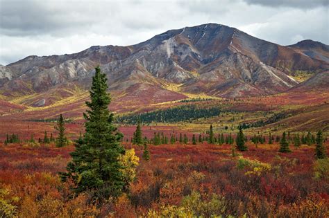 14 Fotos de Paisajes Naturales, Bosques, Montañas y Lagos. | Banco de ...