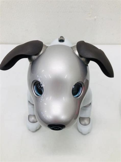 Very Rare Sony AIBO ERS-1000 JAPAN Used