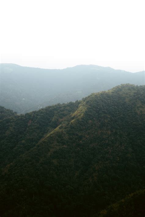 Birds Eye View of the Trees in the Mountains · Free Stock Photo