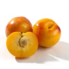 Plumcot Varieties - HEB