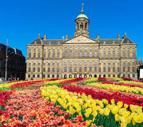 The Royal Palace of Amsterdam at the Center of the Universe