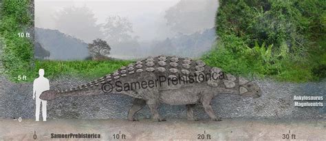 Ankylosaurus Size by SameerPrehistorica on DeviantArt