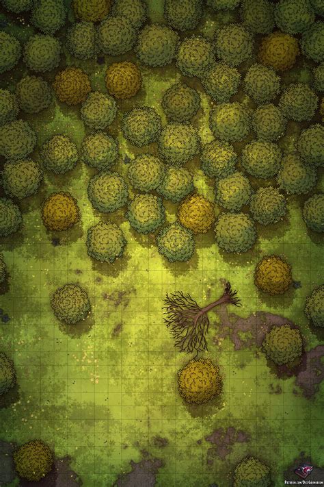 Forest Outskirts (24x36) Public | Dice Grimorium | Fantasy city map, Forest map, Dungeon maps