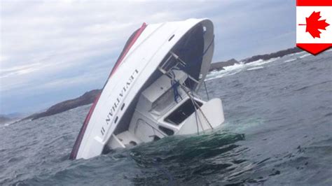 Naufrage au Canada : un bateau d'observation des baleines coule, tuant quatre personnes - YouTube