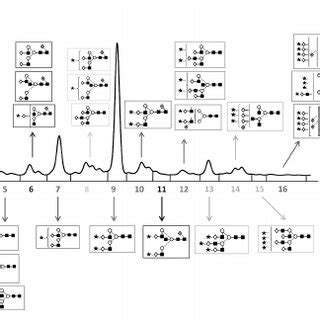 Charts representing human serum composition. A. The 6 most abundant... | Download Scientific Diagram