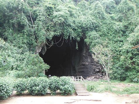 Gomantong Caves: The Caves of Horrors - Amusing Dunia