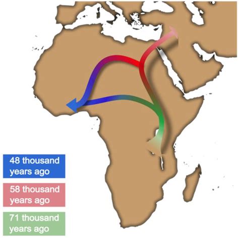 Ketika Hendak Keluar Afrika, Rute Migrasi Manusia Lebih Kompleks - Halaman 2 - National Geographic