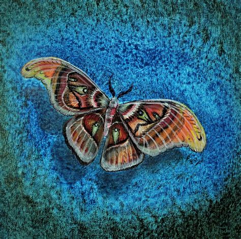 Atlas Moth-original Painting/fine Art/butterfly/painting/ Contemporary ...