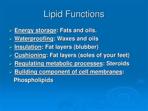 PPT - Macromolecules: Carbohydrates, Lipids, Proteins and Nucleic Acids ...