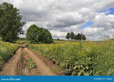 Rural Landscape With Country Road Stock Images - Image: 20008774