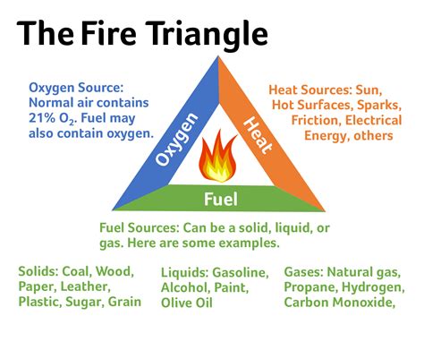 Newsela - The role of wildland fires in an ecosystem | Workplace safety tips, Wildland fire ...