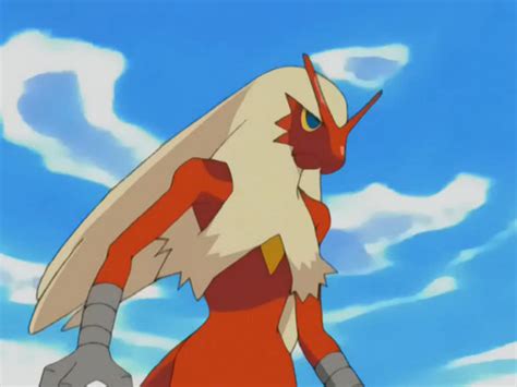 Harrison's Blaziken - Azurilland Wiki