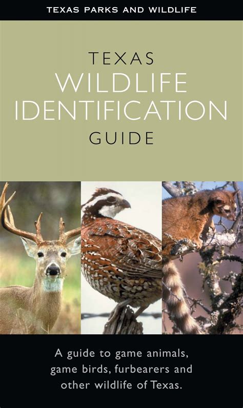 Texas Wildlife Identification Guide - Texas Parks & Wildlife Department