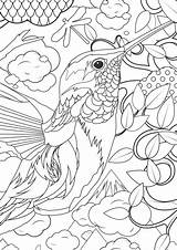 Animal Coloring Pages For Adults  Best Kids sketch template