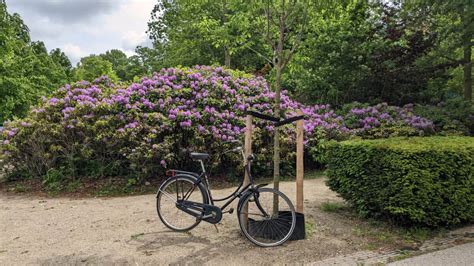 The Reliable Dutch Bike Omafiets - Dutch Bicycle Design - MyBikeXL