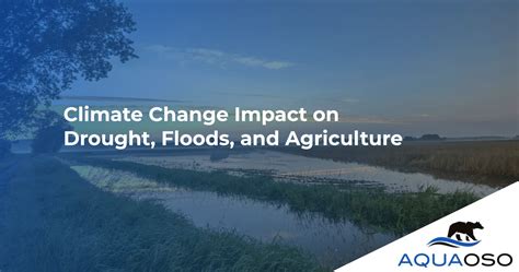 Climate Change Impact on Drought and Floods in Agriculture