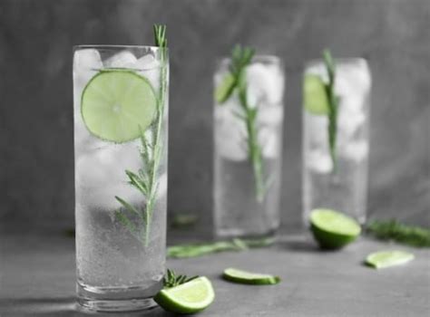 The Best Gin and Tonic Ratio - A Guide | Cocktail Society