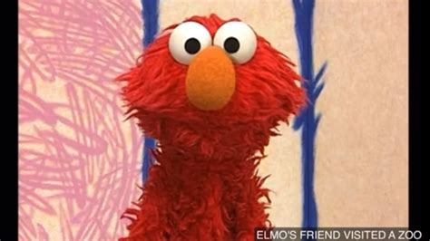 Elmo’s world baby animals - YouTube