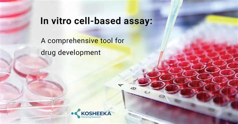 In vitro cell-based assay: A comprehensive tool for drug development | by Kosheeka Primary Cells ...