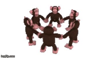 monkey spin - Imgflip