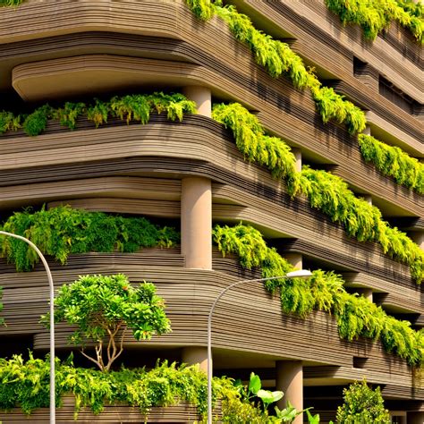 Regenerative Architecture: A way towards true sustainability - TNK Green