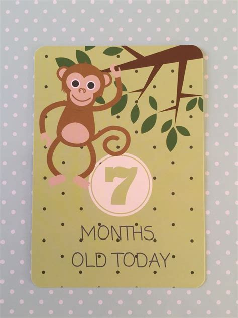 7 Months Old. Baby Milestone cards. www.memorymakercardshop.etsy.com ...