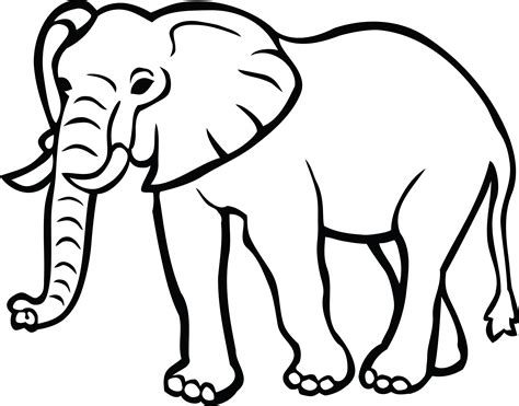 Elephant clipart black and white, Elephant black and white Transparent FREE for download on ...