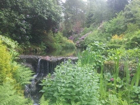 Kildrummy Castle Gardens (Alford) - 2020 All You Need to Know BEFORE You Go (with Photos ...