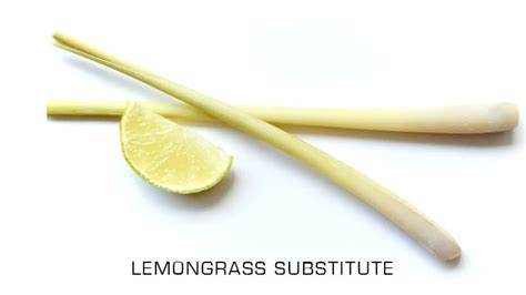 5 Best Lemongrass Substitutes for Cooking (Updated 2024)