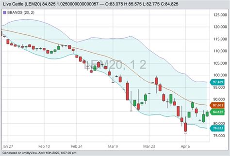 U.S. livestock: Cattle, hog futures recover - AGCanada - AGCanada