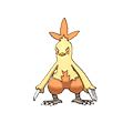 Combusken Pokédex: stats, moves, evolution & locations | Pokémon Database