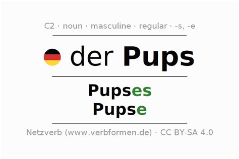 Declension German "Pups" - All cases of the noun, plural, article ...