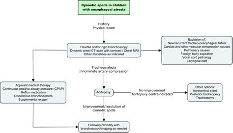 The management of cyanotic spells in children with oesophageal atresia. | Download Scientific ...