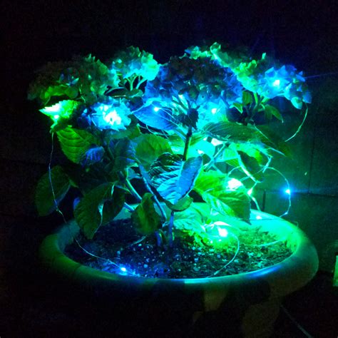 Solar Powered LED Fairy Lights - 33 Foot - Waterproof with 100 Multi ...