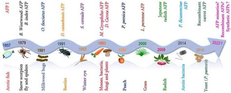 IJMS | Free Full-Text | Antifreeze Proteins: Novel Applications and Navigation towards Their ...