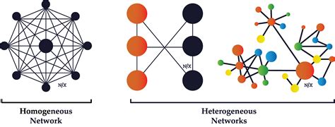 Homogeneous vs. Heterogeneous Networks | The Network Effects Bible on Guides