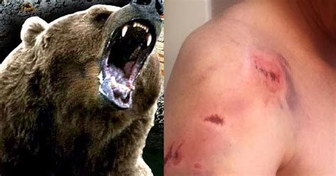 Man posts graphic video, photos showing aftermath of grizzly bear ...