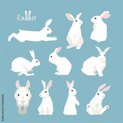 rabbit animal vector illustration flat design Stock Vector | Adobe Stock