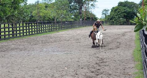 Arauca - Qué conocer en Arauca - Turismo en Colombia