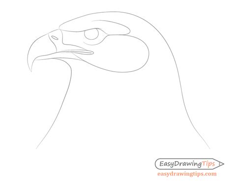 Eagle Drawing Easy Wolf Head Drawing Outline - Hughes Justong