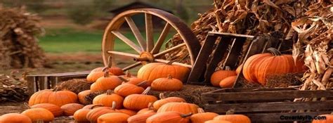 Fall Pumpkins Facebook Covers, Fall Pumpkins FB Covers, | FALL FUN! | Pinterest | Facebook ...