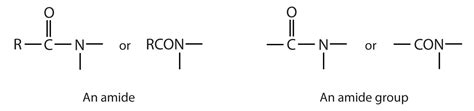 Amine Vs Amide Structure