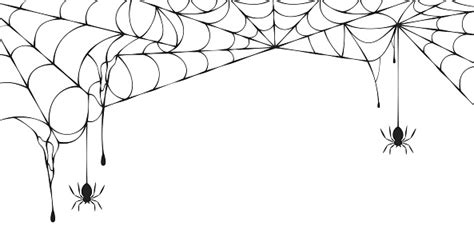 Halloween Spiderweb Border With Hanging Spiders Vector Isolated Spooky ...