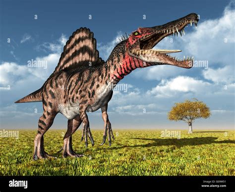 Dinosaur dinosaurs dino spinosaurus hi-res stock photography and images - Alamy