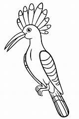 Printable Hoopoe sketch template
