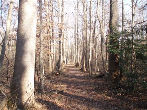 Patuxent River Park | Quantico Orienteering Club