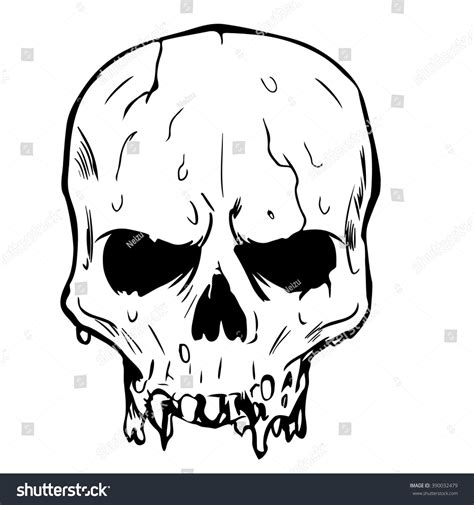 Vector Skull No Jaw Stock Vector 390032479 - Shutterstock