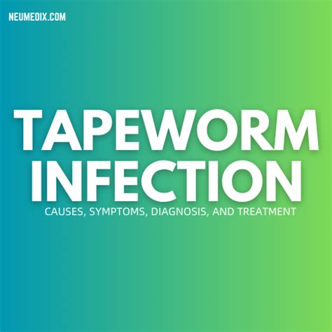 Tapeworm Infection: Causes, Symptoms, Diagnosis, & Treatment